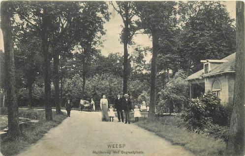 (388-076-049) Weesp Muiderweg met Begraafplaats, Verzamelen, Ansichtkaarten | Nederland, Noord-Holland, Verzenden