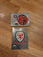 Panini EK 2016 Wales, Ophalen of Verzenden, Zo goed als nieuw, Buitenlandse clubs, Poster, Plaatje of Sticker