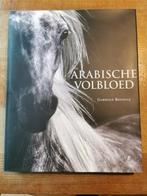 De Arabische Volbloed - Gabriele Boiselle, Boeken, Ophalen of Verzenden, Gelezen, Overige onderwerpen, Gabriele Boiselle