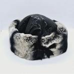 NIEUW Anna Rizzo wintermuts Rex chinchilla konijn Maat 57, Verzenden, Nieuw, 57 cm (M, 7⅛ inch) of minder, Hoed