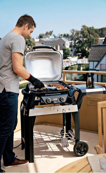 Weber pulse 2000 beschikbaar voor biedingen