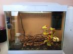 Aquarium 15 liter, Ophalen, Gebruikt, Gevuld zoetwateraquarium