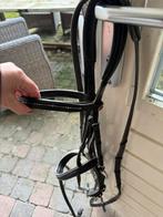 Kieffer hoofdstel full, Ophalen, Gebruikt, Dressuur