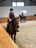 Opzoek naar een verzorgpony, Ophalen of Verzenden, Nieuw