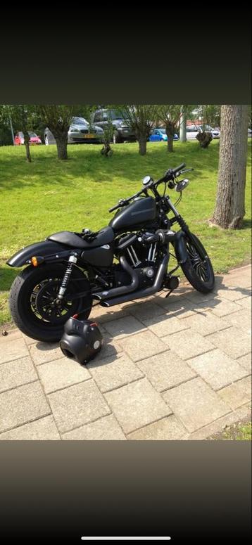 Harley-Davidson XL 883 Iron - Chopper beschikbaar voor biedingen