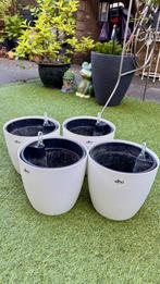 4x Elho zelfwaterende bloempotten 22cm, Ophalen, Kunststof, Gebruikt, Minder dan 30 cm