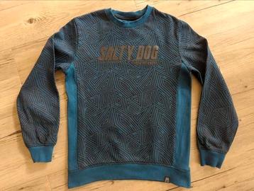 Sweater WE Fashion (Salty Dog) maat 158/164