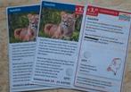 GaiaZoo Gaia Zoo 3.50 euro korting pp, Tickets en Kaartjes, Recreatie | Dierentuinen, Kortingskaart, Drie personen of meer