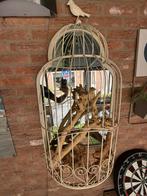 Vogelkooi met spiegel, Ophalen