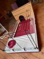 konijnenhok binnen, Dieren en Toebehoren, Konijn, Hok, Ophalen, Minder dan 60 cm