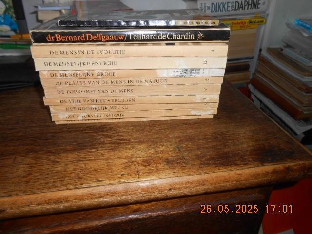 pierre teilhard de chardin, Boeken, Wetenschap, Zo goed als nieuw, Ophalen of Verzenden