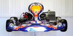 ZANARDI Kart DD2 met Rotax DD2 Motor, Sport en Fitness, Karting, Ophalen, Zo goed als nieuw, Kart