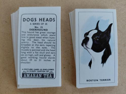 Dogs Heads complete set 25 tea cards honden Amaran Tea 1965, Verzamelen, Overige Verzamelen, Ophalen