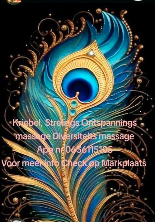 Healthy Fit Super Zen Ontspanningsmassage, Diensten en Vakmensen, Welzijn | Masseurs en Massagesalons, Bedrijfsmassage, Ontspanningsmassage