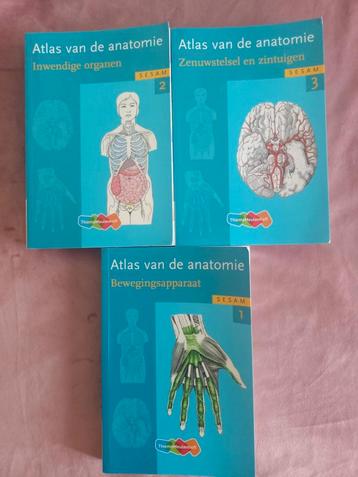 Atlas van de Anatomie , complete 3-delige reeks (SESAM) beschikbaar voor biedingen