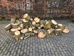 3 kuub kastanje hout te koop, Minder dan 3 m³, Ophalen, Overige houtsoorten, Stammen