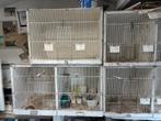 # Mooie Verschillende broed/Vogelkooien #, Dieren en Toebehoren, Vogels | Hokken en Kooien, Ophalen, Gebruikt, Hout, Vogelkooi