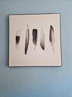 Print van veren in zwarte lijst, Ophalen, 75 tot 100 cm, Minder dan 50 cm, Print