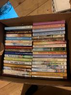 boeken streekromans, Ophalen of Verzenden, Zo goed als nieuw, Overijssel
