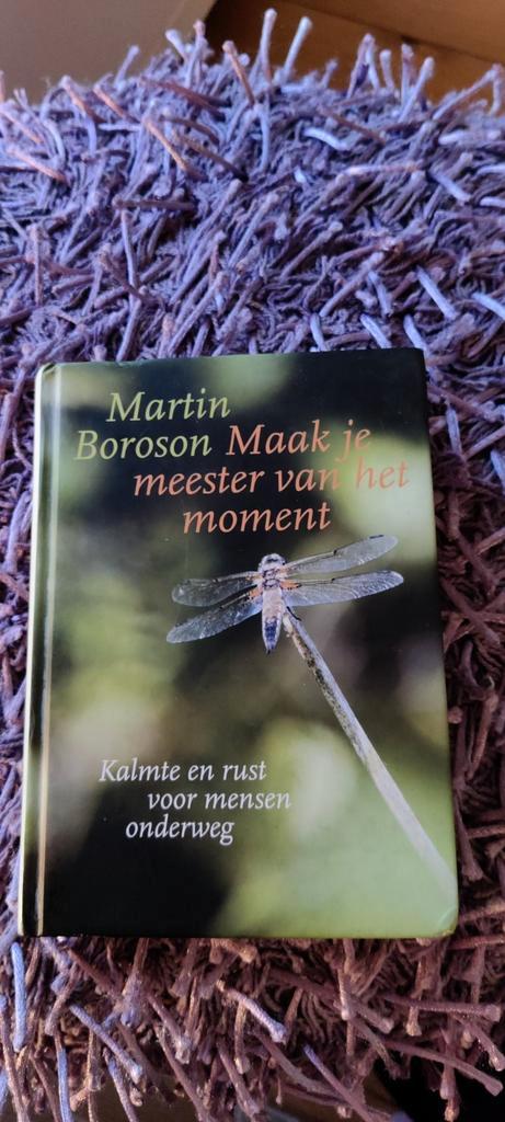 M. Boroson - Maak je meester van het moment, Boeken, Esoterie en Spiritualiteit, Zo goed als nieuw, Instructieboek, Ophalen of Verzenden