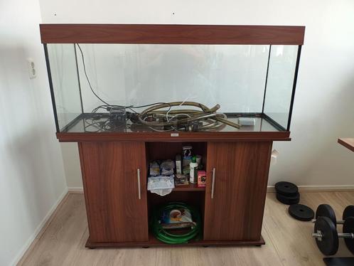Juwel rio 240 aquarium met meubel, Dieren en Toebehoren, Vissen | Aquaria en Toebehoren, Gebruikt, Leeg aquarium, Ophalen