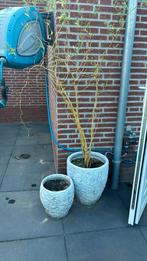 Twee potten, Ophalen, Overige soorten