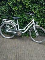 pegasus, Fietsen en Brommers, Ophalen of Verzenden, Zo goed als nieuw, 26 inch of meer