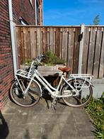Gazelle Miss Grace damesfiets maat 54, 53 tot 56 cm, Ophalen of Verzenden, Gebruikt, Gazelle