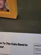 TTTCatsBand, Tickets en Kaartjes, Beurzen