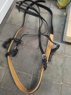 Broek tuigpaard fries, Ophalen of Verzenden, Nieuw, Overige soorten