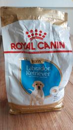 Royal canin puppy, Ophalen, Hond