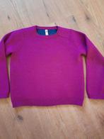 Paarse trui maat 110-116, Kinderen en Baby's, Kinderkleding | Maat 110, Gebruikt, Meisje, Trui of Vest, Ophalen of Verzenden