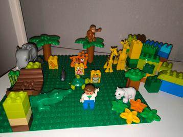 Duplo Dierentuin Set + Grote Plaat & Extra Blokken beschikbaar voor biedingen