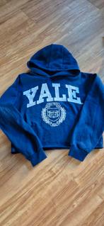 Trui 12 -13 jaar, Ophalen, Trui of Vest