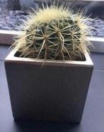 Luxe vierkante kubus moderne bloempotten vintage kwaliteit, Tuin en Terras, Binnen, Ophalen of Verzenden, Zo goed als nieuw, Terracotta