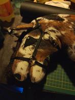 Hobbyhorse hoofdstel te koop, Ophalen of Verzenden, Nieuw, Knutselwerk