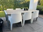 Tuintafel met 6 BOX stoelen 100cm x 220cm, Kunststof, Gebruikt, 6 zitplaatsen, Ophalen of Verzenden