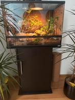 Wimpergekko’s compleet incl: terrarium en toebehoren, Dieren en Toebehoren, Reptielen en Amfibieën | Toebehoren, Ophalen, Zo goed als nieuw