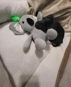 Puppy, Dieren en Toebehoren, 8 tot 15 weken, Eén hond, Nederland, Particulier