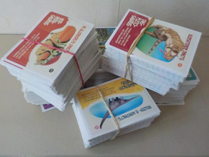 Albert Heijn AH dinoplaatjes terug naar de dino's met Freek, Verzamelen, Supermarktacties, Albert Heijn, Ophalen of Verzenden