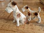 Hondenbeeldjes Fox Terriers, Ophalen
