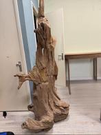 Boomstam, Ophalen, Zo goed als nieuw