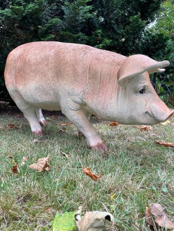 (Tuin)Beeld varken, tuin, gazon, manege, boerderij 85cm beschikbaar voor biedingen