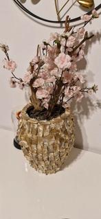 Schelpenvaas, Ophalen