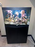 Zoet water aquarium incl vissen, pomp, verwarming en meubel., Ophalen, Zo goed als nieuw, Gevuld zoetwateraquarium