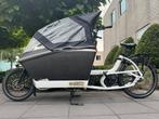 Nieuwstaat Urban Arrow Family cargo cx 500wh accu, Ophalen of Verzenden