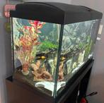 Aquarium compleet, Ophalen