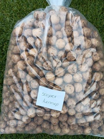 scopex hennep premium boilies beschikbaar voor biedingen