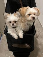 Hondenbuggy van Trixie, Dieren en Toebehoren, Ophalen, Zo goed als nieuw