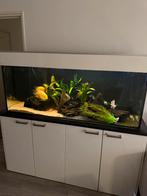 Aquarium 150cm, Ophalen, Leeg aquarium